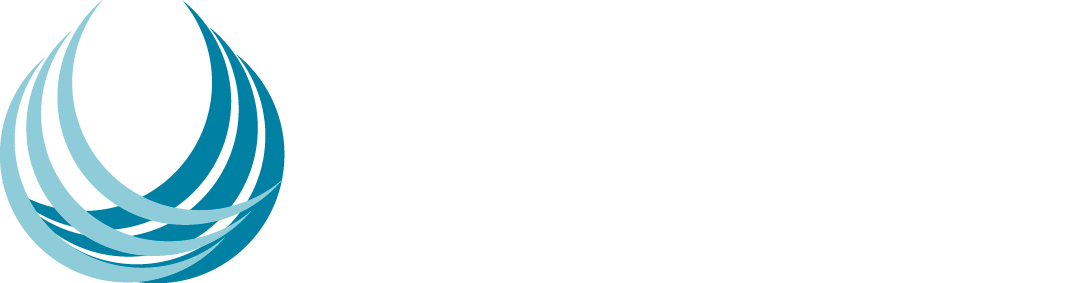 Finnz logo blue and white.png
